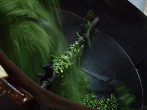 数少ないカネコ式の丸釜。400～500℃という高温で茶葉を炒ります